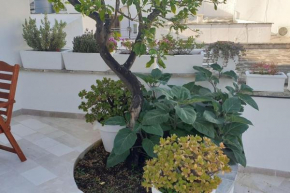 Flower's House
